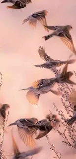 Plant Bird Racy Live Wallpaper