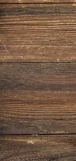 Plant Brown Wood Live Wallpaper