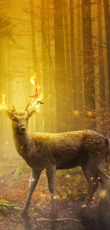 Plant Deer Wood Live Wallpaper