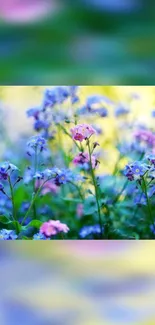 Plant Flower Blue Live Wallpaper