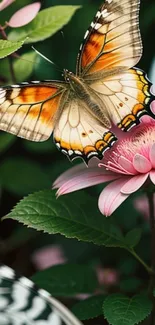 Vibrant butterfly on pink flower with green leaves.