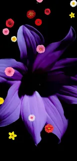 Plant Flower Purple Live Wallpaper