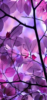 Plant Flower Purple Live Wallpaper