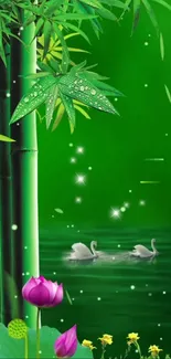 Plant Green Leaf Live Wallpaper