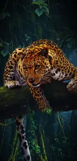 Plant Jaguar Felidae Live Wallpaper