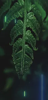 Plant Leaf Botany Live Wallpaper