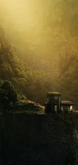 Plant Mountain Cloud Live Wallpaper