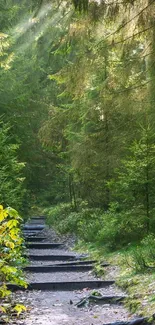 A scenic forest path with lush greenery and sunlight.