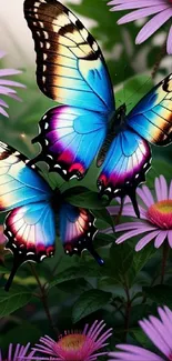 Plant Pollinator Flower Live Wallpaper