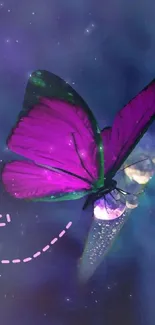 Plant Pollinator Water Live Wallpaper