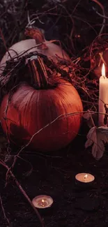 Plant Pumpkin Candle Live Wallpaper