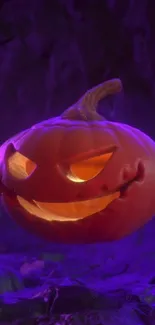 Plant Pumpkin Eye Live Wallpaper