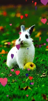 Plant Rabbit People In Nature Live Wallpaper