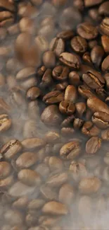 Plant Single-origin Coffee Cuisine Live Wallpaper