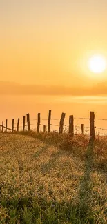 Plant Sky Cloud Live Wallpaper