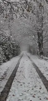 Snow-covered road through a winter forest with leafless trees.