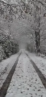 A serene, snowy path through a quiet forest in winter.