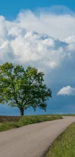 Plant Tree Cloud Live Wallpaper