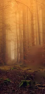 Plant Tree Fog Live Wallpaper