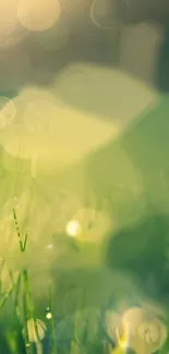 Plant Water Liquid Live Wallpaper