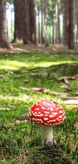 Plant Water Mushroom Live Wallpaper