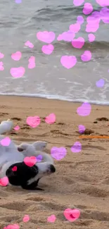 Dog on sandy beach with floating pink hearts.