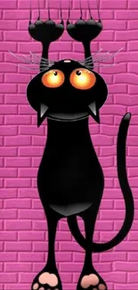 Playful black cat on a pink brick wall background.