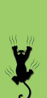 Playful cartoon black cat on light green wallpaper background.