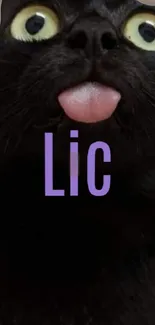 Funny black cat with tongue out mobile wallpaper.