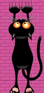 Black cat with glowing eyes climbing a pink brick wall.