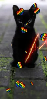 Black kitten with rainbow hearts on a stone path.