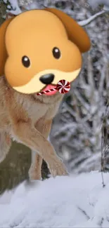 Dog with emoji face in a snowy landscape with a candy in its mouth.