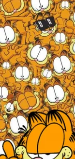 Playful cartoon cat wallpaper in orange.