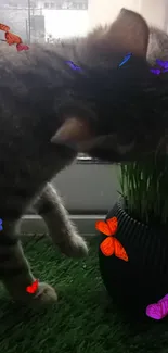 Cat exploring grass with colorful butterflies.