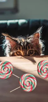 Cat peeking over a table with colorful lollipops in sunlight.