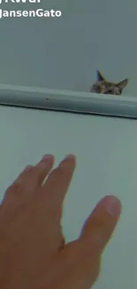 Wallpaper of a cat peeking over a ledge with a hand reaching up.