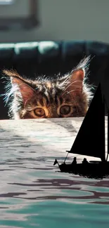 Playful cat peeking with sailboat silhouette on calm water background.