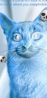 Blue cat with fun text and emojis wallpaper.