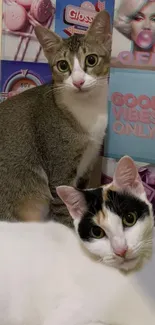 Two cats pose with vibrant 'Good Vibes Only' backdrop.