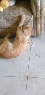 Orange cat playing on a tiled floor in a cozy home setting.