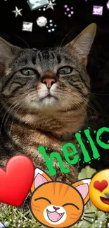 Cat with emojis and 'hello' text on a colorful mobile wallpaper.