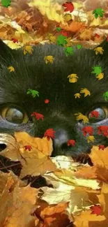 Black cat peeking through orange autumn leaves in a playful scene.