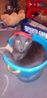 Gray cat snugly fit in a blue bucket, surrounded by colorful toys.