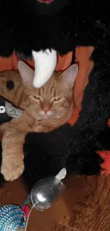 Ginger cat lounging in a playful fabric den with toys around.