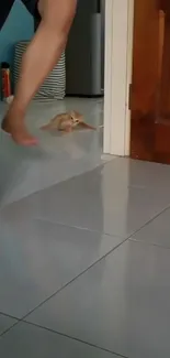 Playful ginger cat sliding on hallway tiles next to a wooden door.