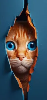 Orange cat with blue eyes peeks through a blue gap.