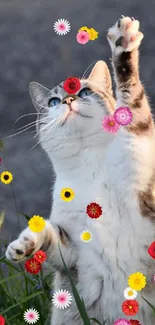 A playful cat reaching up in a natural setting with green grass.