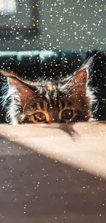 Playful cat peeking over table with golden sparkles.