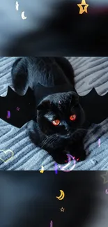 Black cat with bat wings on a cozy textured surface.