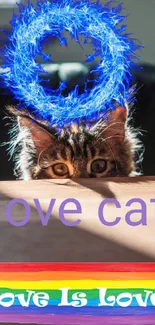 Mobile wallpaper featuring a cat with a blue halo and rainbow love message.